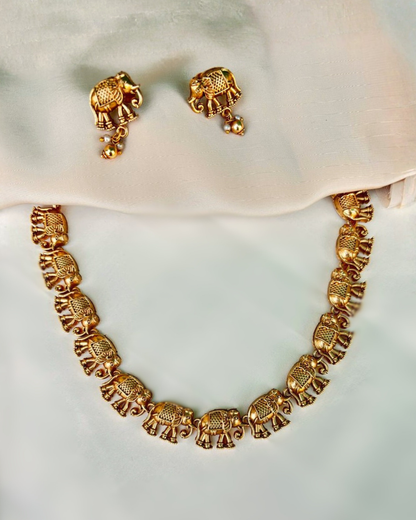 Vitund : Gold Plated Necklace Set