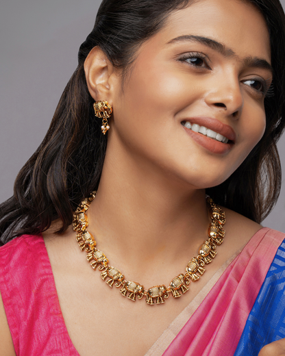 Vitund : Gold Plated Necklace Set